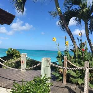 Meet your Posher, Bridget